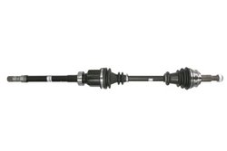 PLANETARA POINT GEAR PNG75933 - Compatibil cu RENAULT