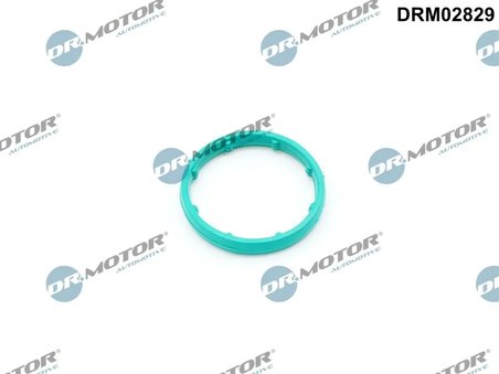 Etansare racire ulei Dr.Motor Automotive DRM02829