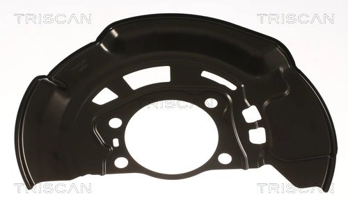Protectie noroi disc frana Triscan 8125 13131