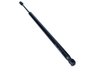 Amortizor capota Maxgear 12-2631