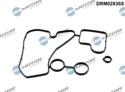 Etansare racire ulei Dr.Motor Automotive DRM02836S