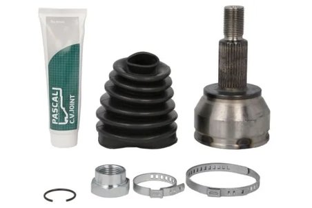 CAP PLANETARA PASCAL G1K029PC - Compatibil cu LAND ROVER