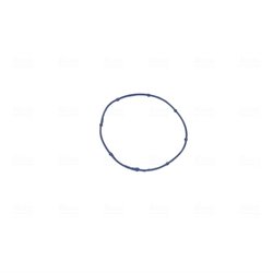 Carcasa clapeta acceleratie Nissens 955192