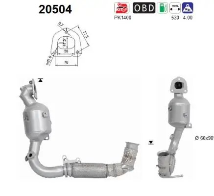Catalizator AS 20504