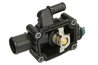 Termostat lichid racire Thermotec D2C006TT