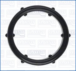 Garnitura termostat Ajusa 01732800