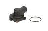 Termostat lichid racire Thermotec D2S001TT