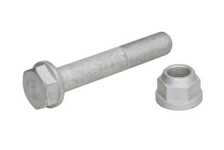 Surub S-TR STR-M20X1,5/125