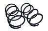 ARC SUSPENSIE MAXGEAR 60-1559D - Compatibil cu NISSAN