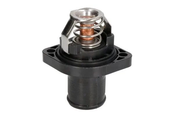 Termostat lichid racire Thermotec D2C003TT