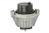 SUPORT MOTOR REINHOCH RH11-3032 - Compatibil cu BMW