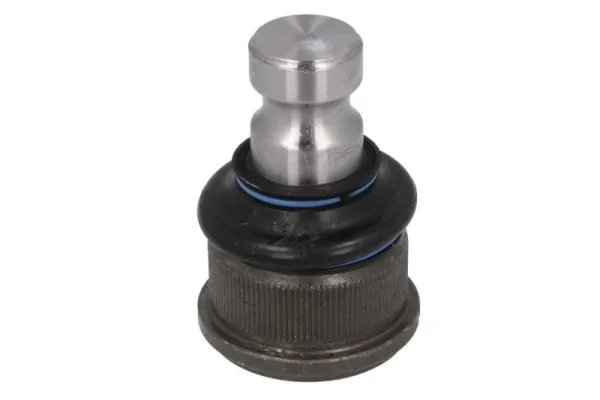 Pivot REINHOCH RH03-2022