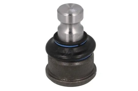 Pivot REINHOCH RH03-2022