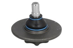 Pivot REINHOCH RH03-2040