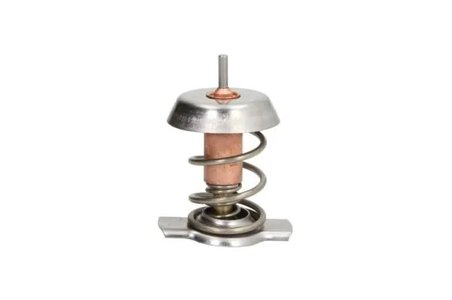 Termostat lichid racire Thermotec D2X008TT