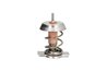Termostat lichid racire Thermotec D2X008TT