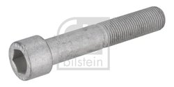 Surub, disc frana Febi Bilstein 195479