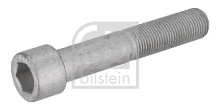 SURUB, DISC FRANA FEBI BILSTEIN 195479 - Compatibil cu FORD