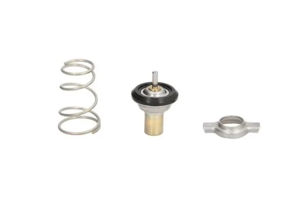 Termostat lichid racire Thermotec D2F002TT