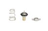 Termostat lichid racire Thermotec D2F002TT