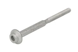 SURUB, SUPORT INJECTOR ENGITECH ENT250799 - Compatibil cu AUDI, SEAT, SKODA, VW