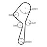 Curea distributie Gates 5722XS