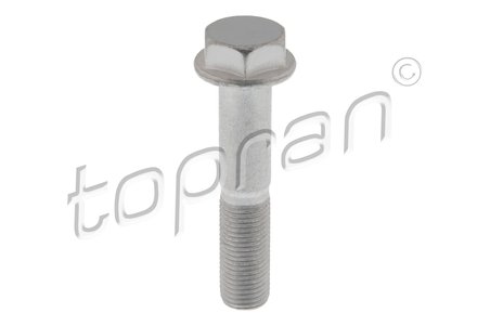 Surub Topran 702 846