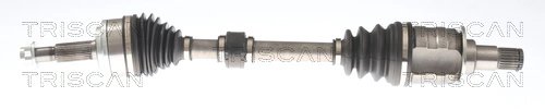Planetara Triscan 8540 13579