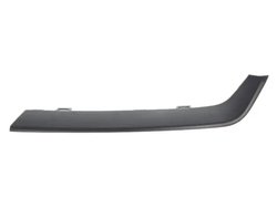 Banda de protectie, grila radiator BLIC 6502-07-2957995P