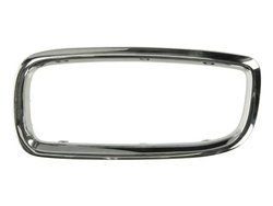 BANDA DE PROTECTIE, GRILA RADIATOR BLIC 6502-07-0075997P - Compatibil cu BMW