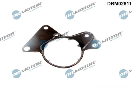 Garnitura, pompa combustibil Dr.Motor Automotive DRM02811