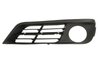 GRILA VENTILATIE, BARA PROTECTIE BLIC 6502-07-0067929GP - Compatibil cu BMW