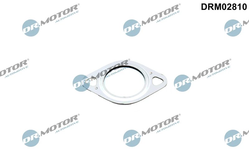 Garnitura, conducta supapa-AGR Dr.Motor Automotive DRM02810