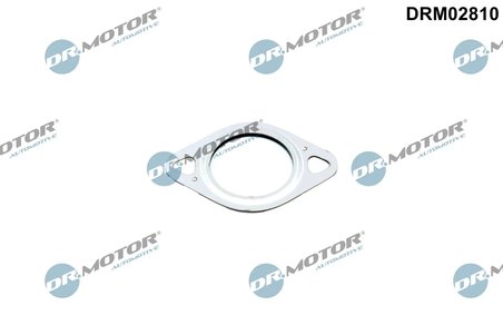 Garnitura, conducta supapa-AGR Dr.Motor Automotive DRM02810