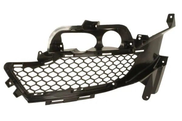 GRILA VENTILATIE, BARA PROTECTIE BLIC 6502-07-2586917P - Compatibil cu FORD USA