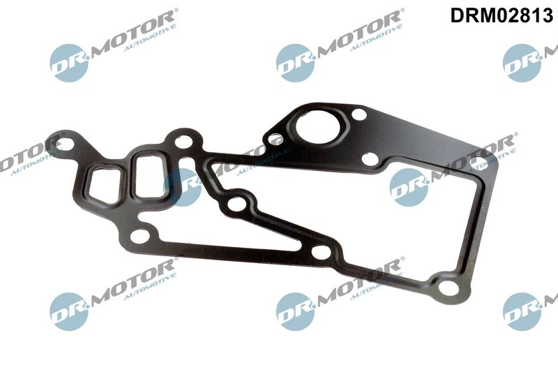 Garnitura, carcasa termostat Dr.Motor Automotive DRM02813