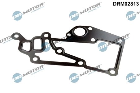 Garnitura, carcasa termostat Dr.Motor Automotive DRM02813