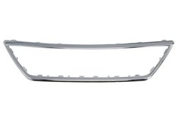 Banda de protectie, grila radiator BLIC 6502-07-6619990P