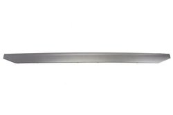 Acoperire, grila radiator Pacol DAF-FP-050