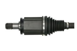 Planetara Pascal G2B012PC