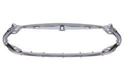 Banda de protectie, grila radiator BLIC 6502-07-7707991P