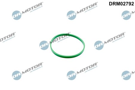 Etansare, carcasa clapeta Dr.Motor Automotive DRM02792