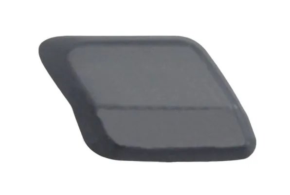 ACOPERIRE, BARA PROTECTIE BLIC 5513-00-2556924P - Compatibil cu FORD