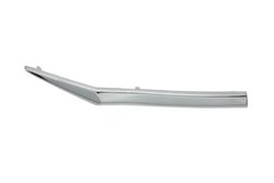 Banda de protectie, grila radiator BLIC 6502-07-2950992P