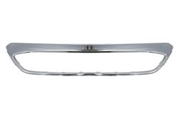 BANDA DE PROTECTIE, GRILA RADIATOR BLIC 6502-07-2579981P - Compatibil cu FORD