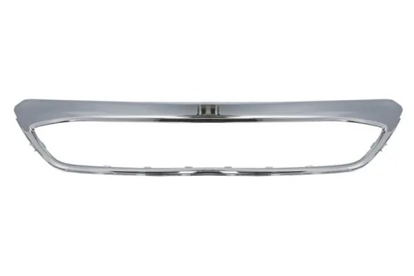 Banda de protectie, grila radiator BLIC 6502-07-2579981P