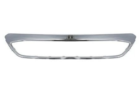 Banda de protectie, grila radiator BLIC 6502-07-2579981P