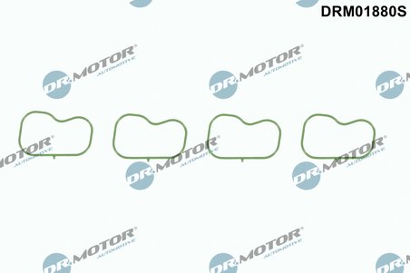 GARNITURA GALERIE ADMISIE DR.MOTOR AUTOMOTIVE DRM01880S - Compatibil cu FORD