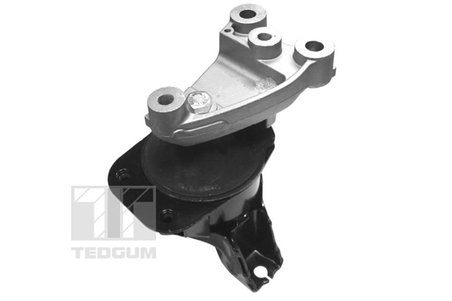 Suport motor Tedgum 00263047
