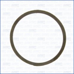 Garnitura termostat Ajusa 00963000